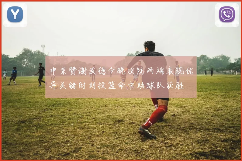 申京赞谢泼德今晚攻防两端表现优异关键时刻投篮命中助球队获胜