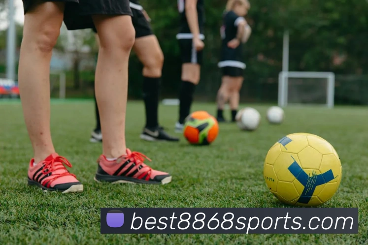 8868体育服务体系